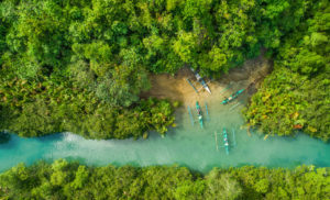 Cacaofruit grows in regions surrounding the equator