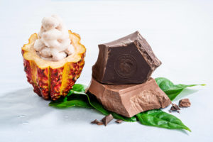 WholeFruit Chocolate made from 100% cacaofruit
